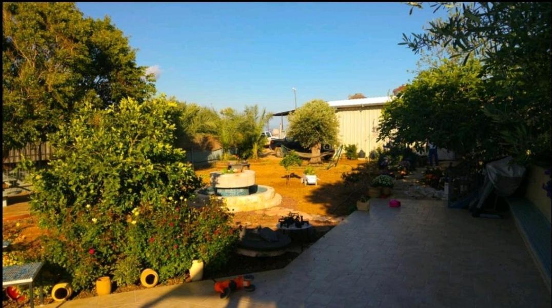 Апартаменти בחצר של טובה Hazon Екстер'єр фото